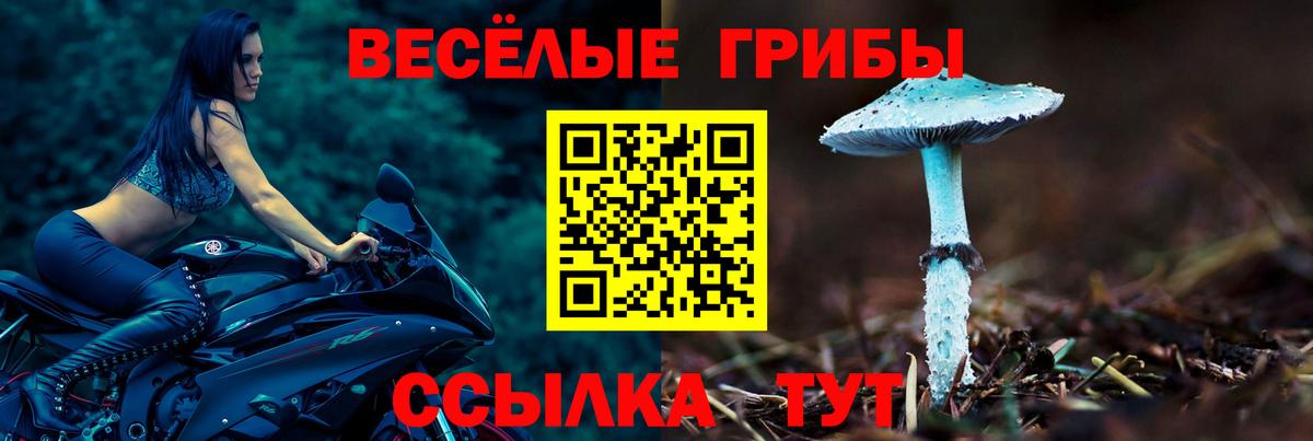 Галлюциногенные грибы Magic Shrooms Химки