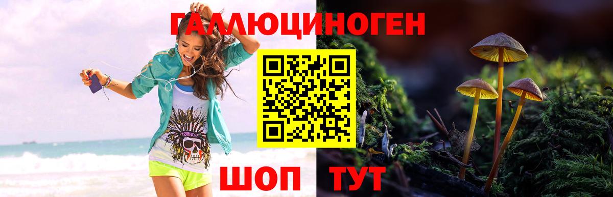 Псилоцибиновые грибы Psilocybe  Вход с VPN  Химки 